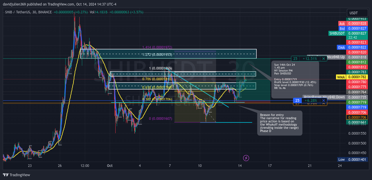 BINANCE:SHIBUSDT Chart Image by davidjulien369