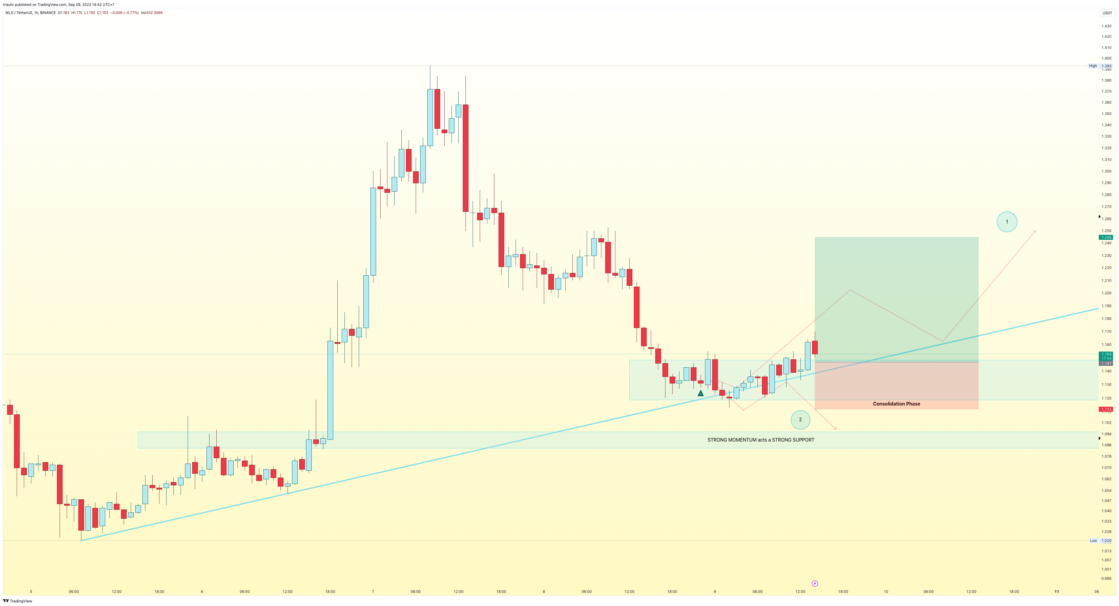 BINANCE:WLDUSDT Chart Image by trieutv