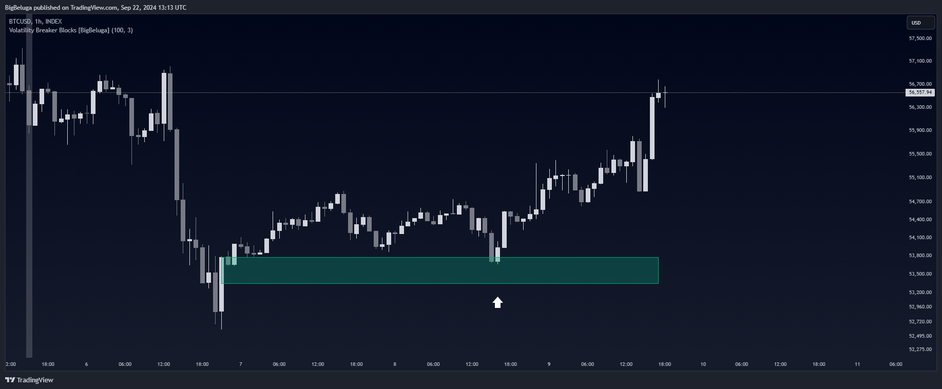 INDEX:BTCUSD Chart Image by BigBeluga