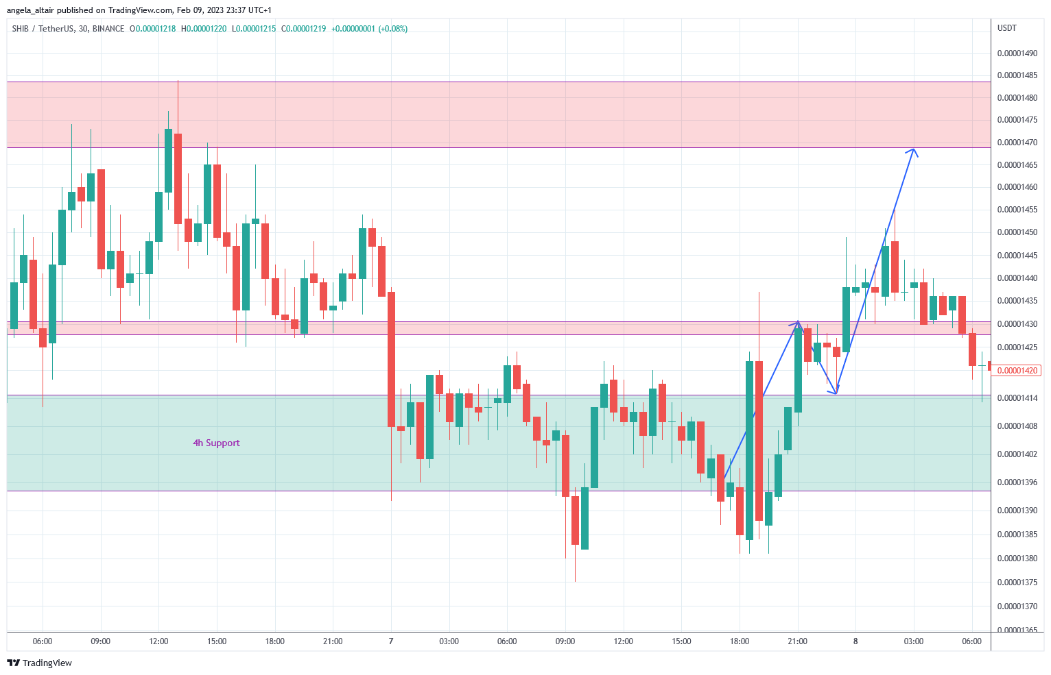 BINANCE:SHIBUSDT Chart Image by angela_altair