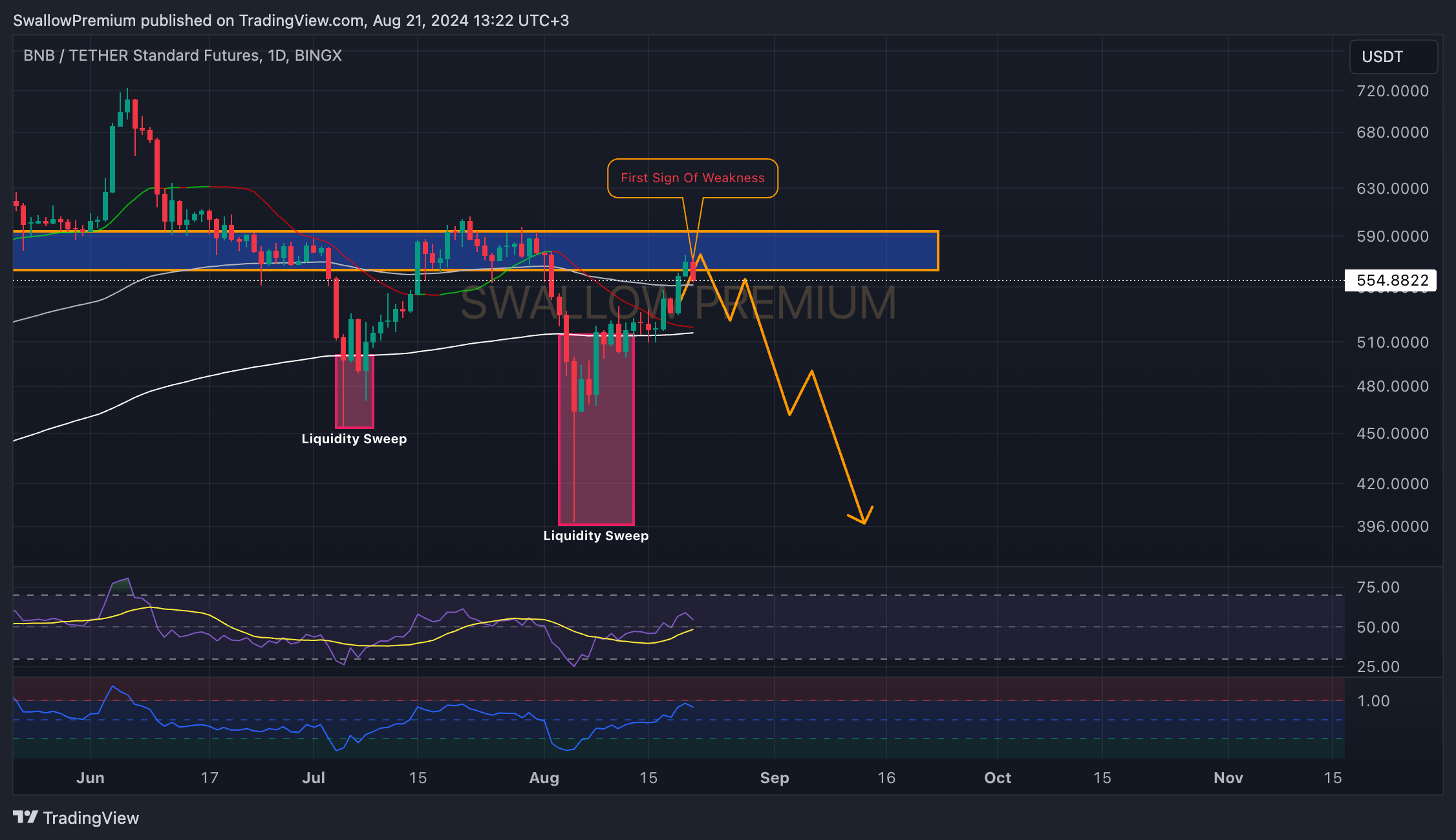 BINGX:BNBUSDT.PS Chart Image by SwallowAcademy