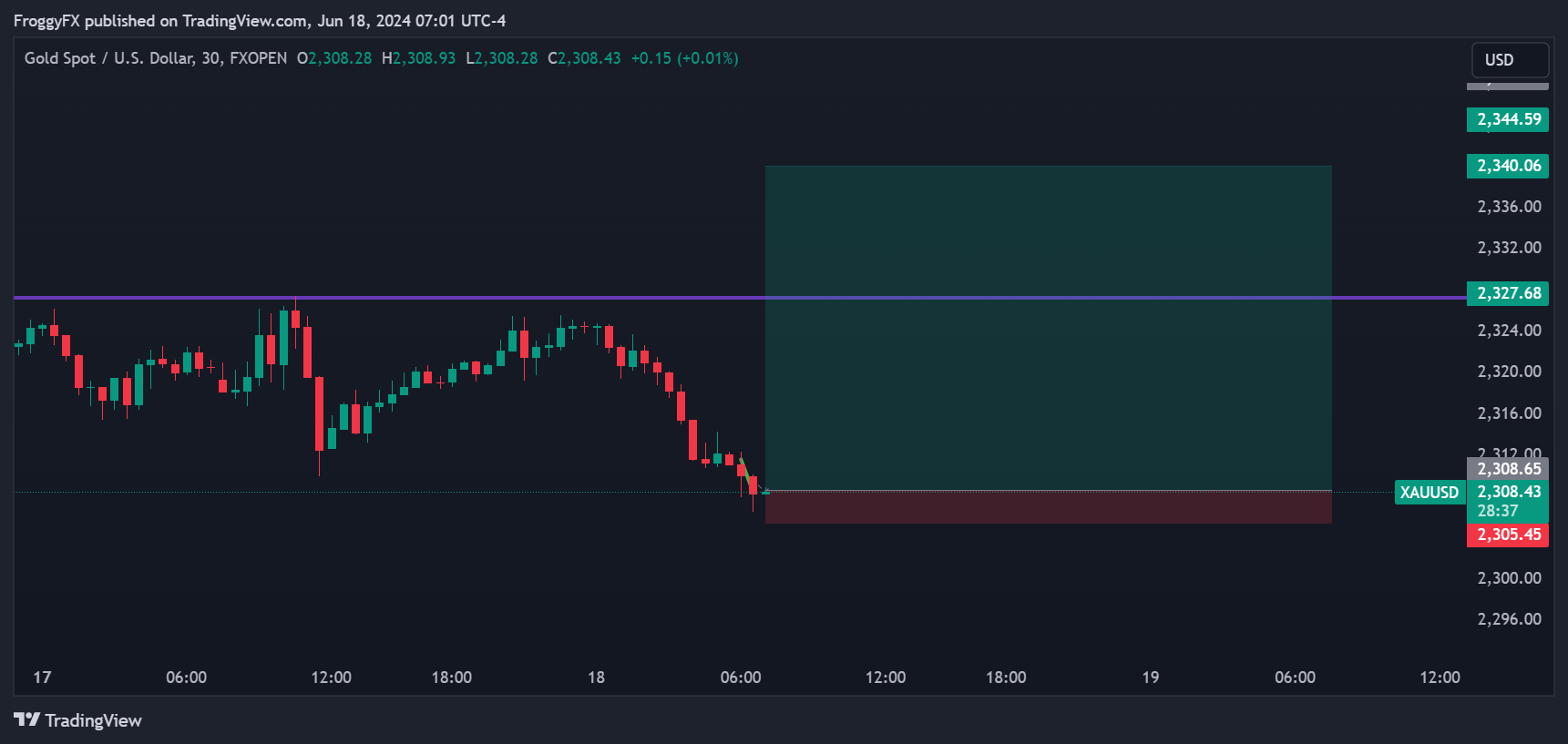 FXOPEN:XAUUSD Chart Image by FroggyFX