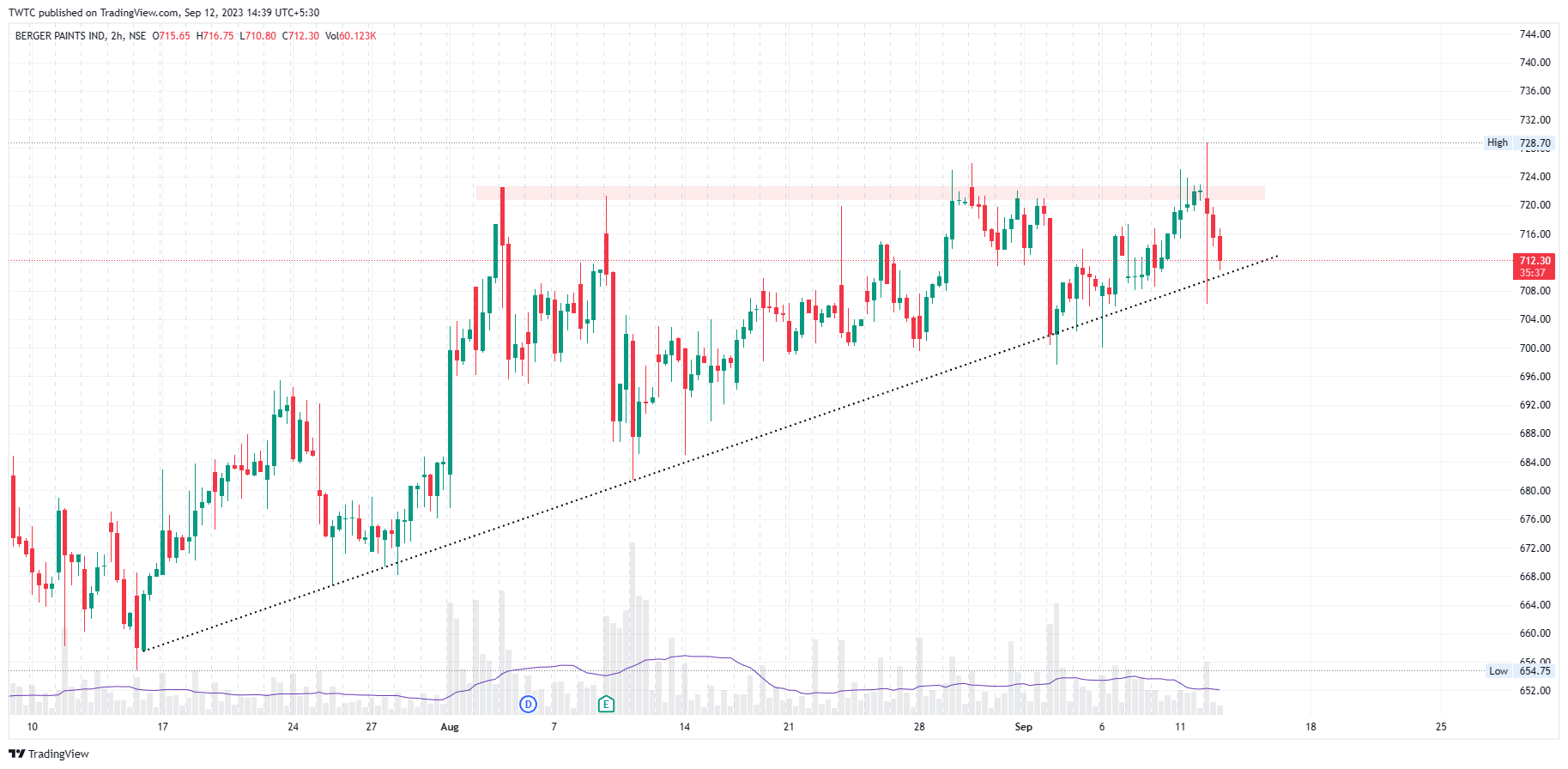 NSE:BERGEPAINT Chart Image by TheChartereds