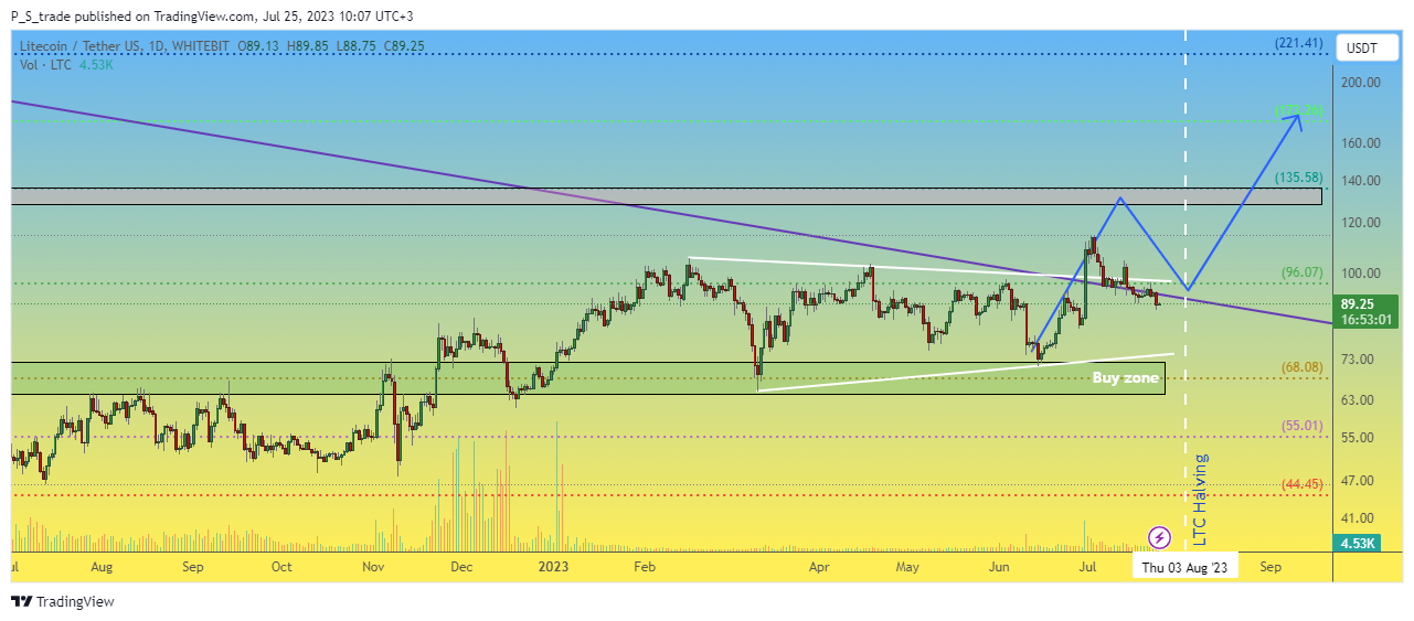 WHITEBIT:LTCUSDT Chart Image by P_S_trade