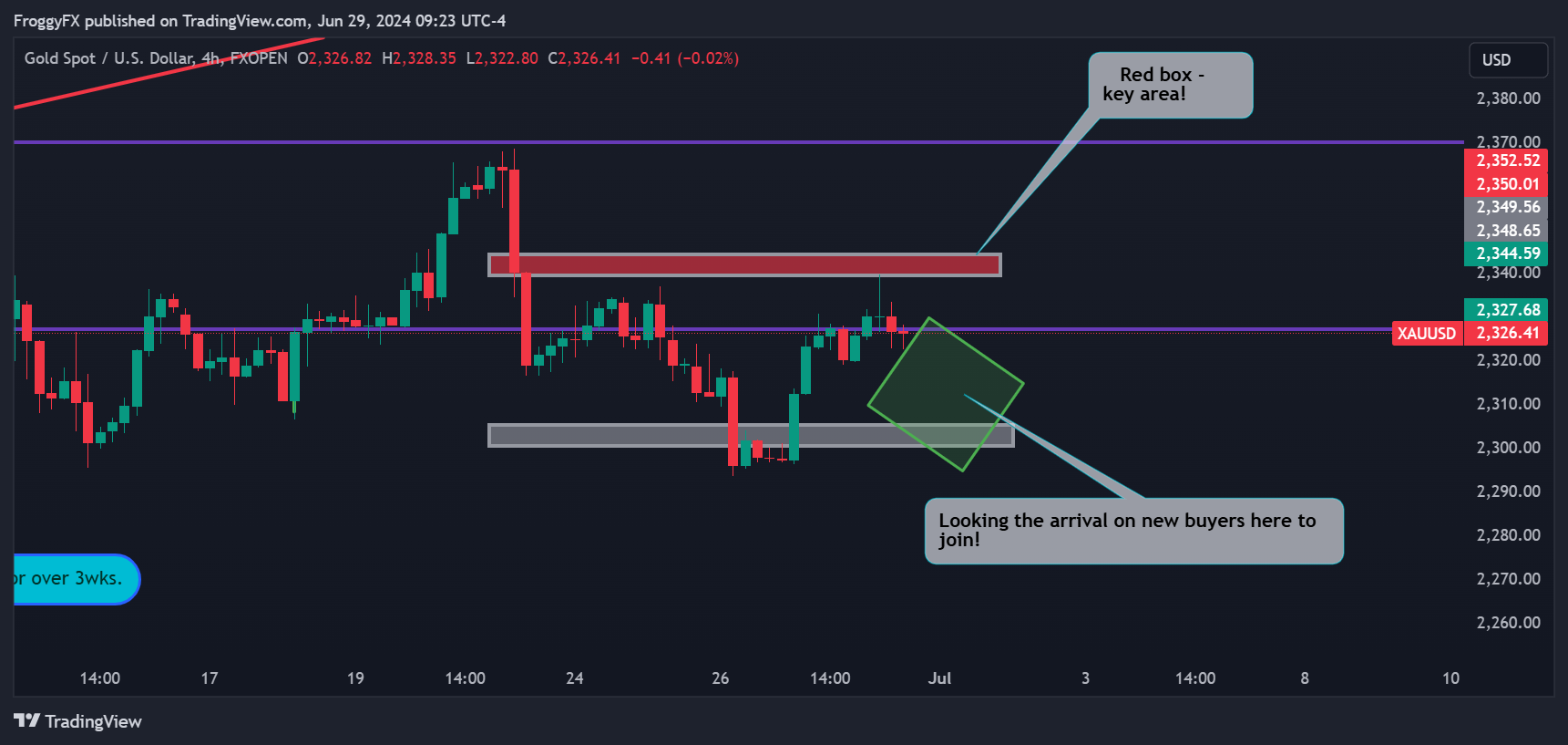 FXOPEN:XAUUSD Chart Image by FroggyFX