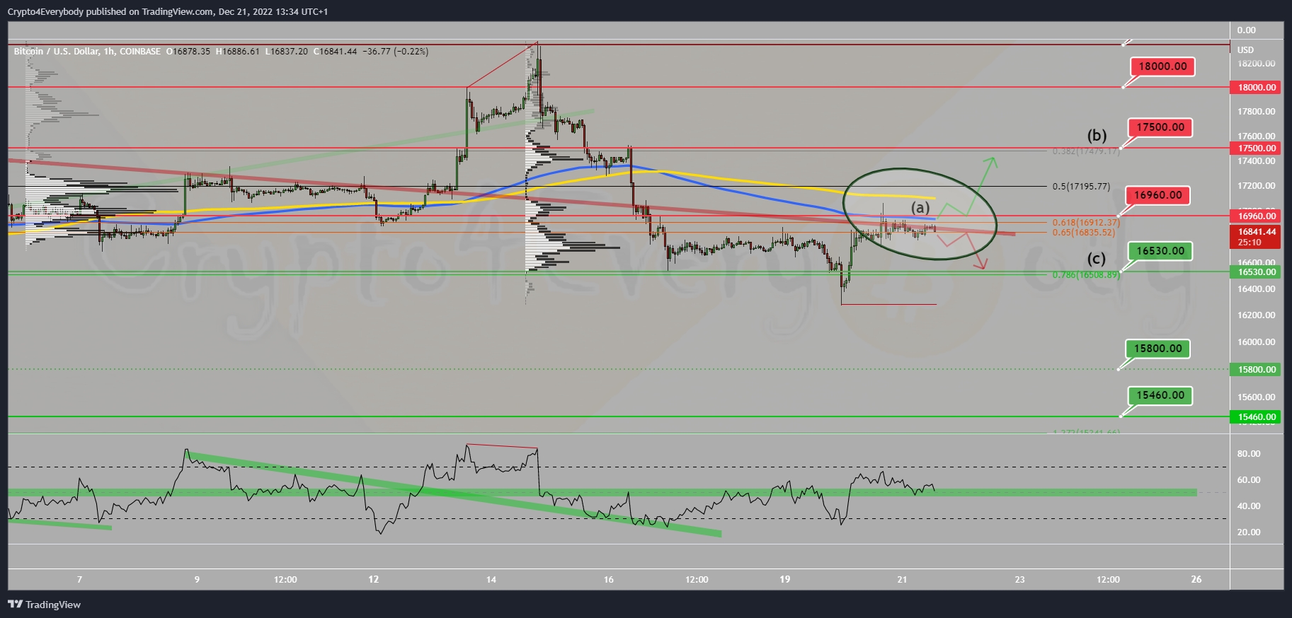COINBASE:BTCUSD Chart Image by Crypto4Everybody