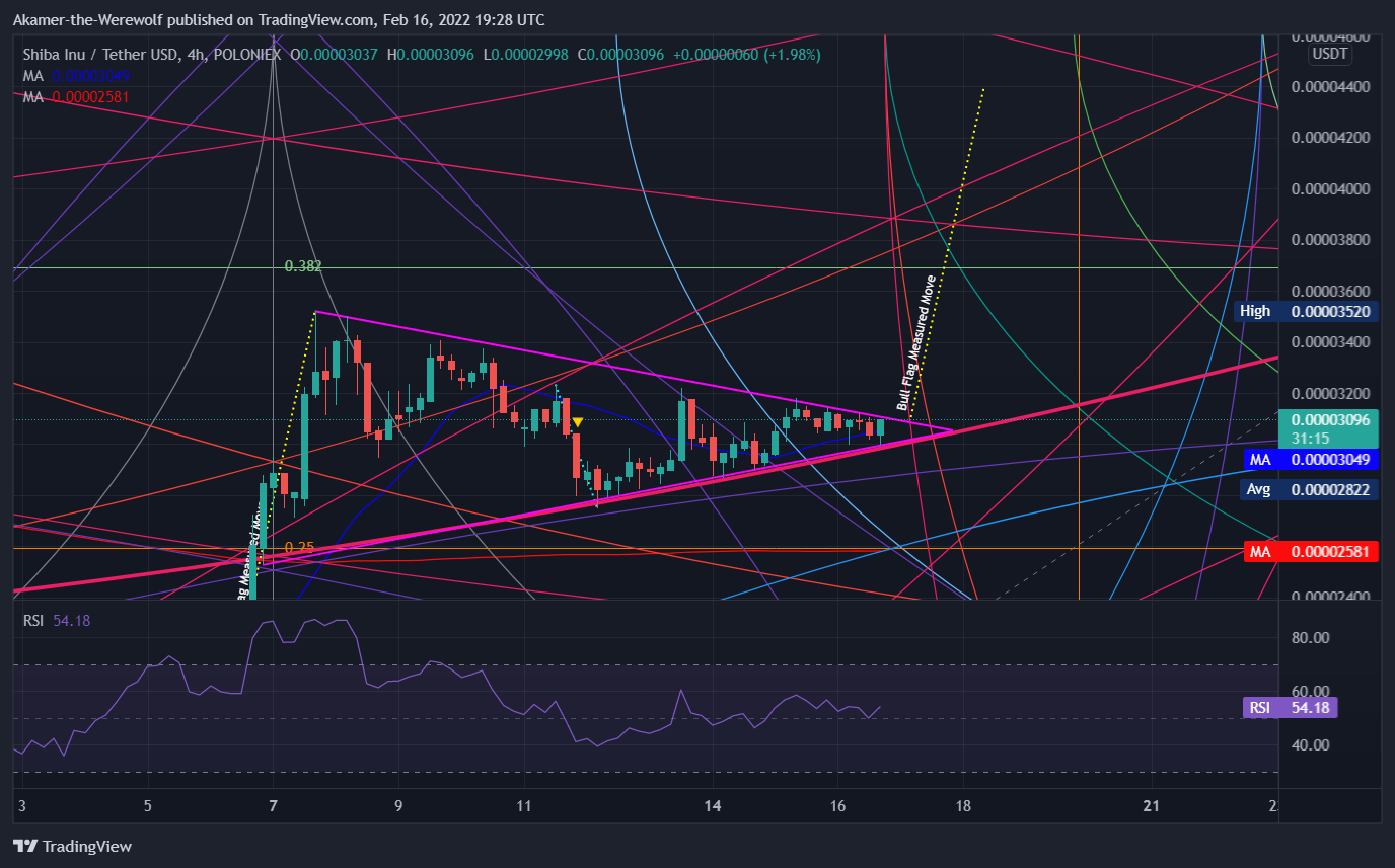 POLONIEX:SHIBUSDT Chart Image by Akamer-the-Werewolf