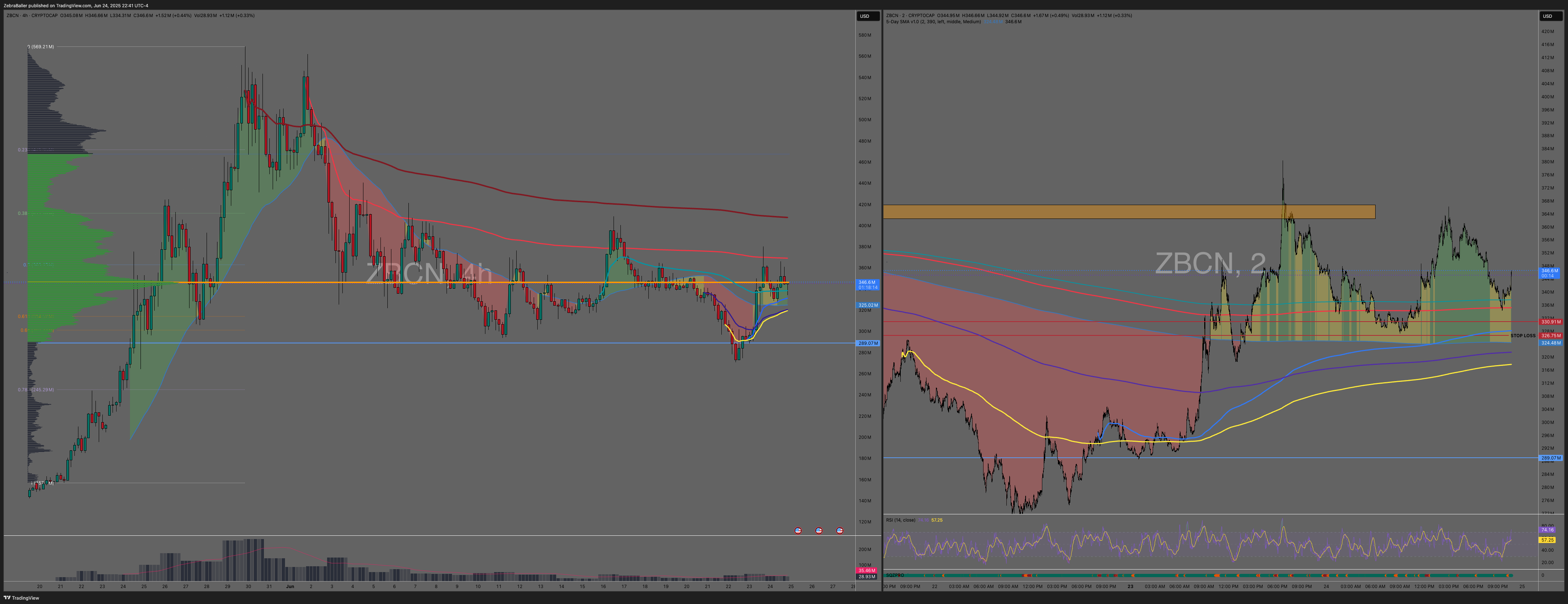 CRYPTOCAP:ZBCN Chart Image by ZebraBaller