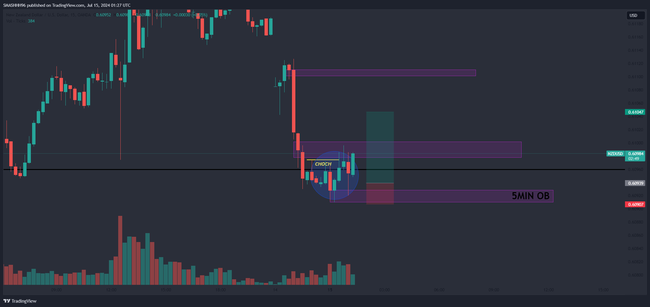 OANDA:NZDUSD Chart Image by SMASHHH96