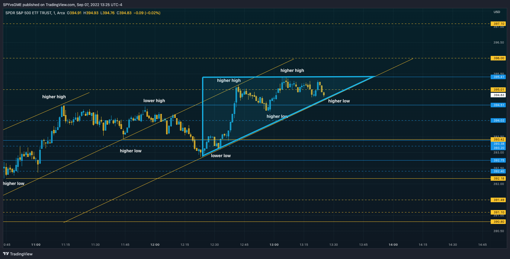 AMEX:SPY Chart Image by SPYvsGME