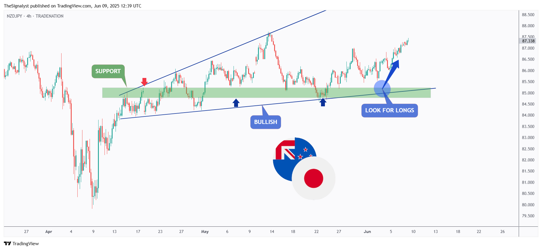 TRADENATION:NZDJPY Chart Image by TheSignalyst