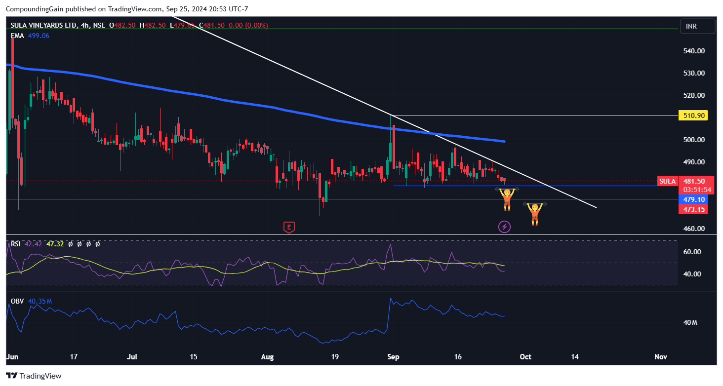 NSE:SULA Chart Image by CompoundingGain