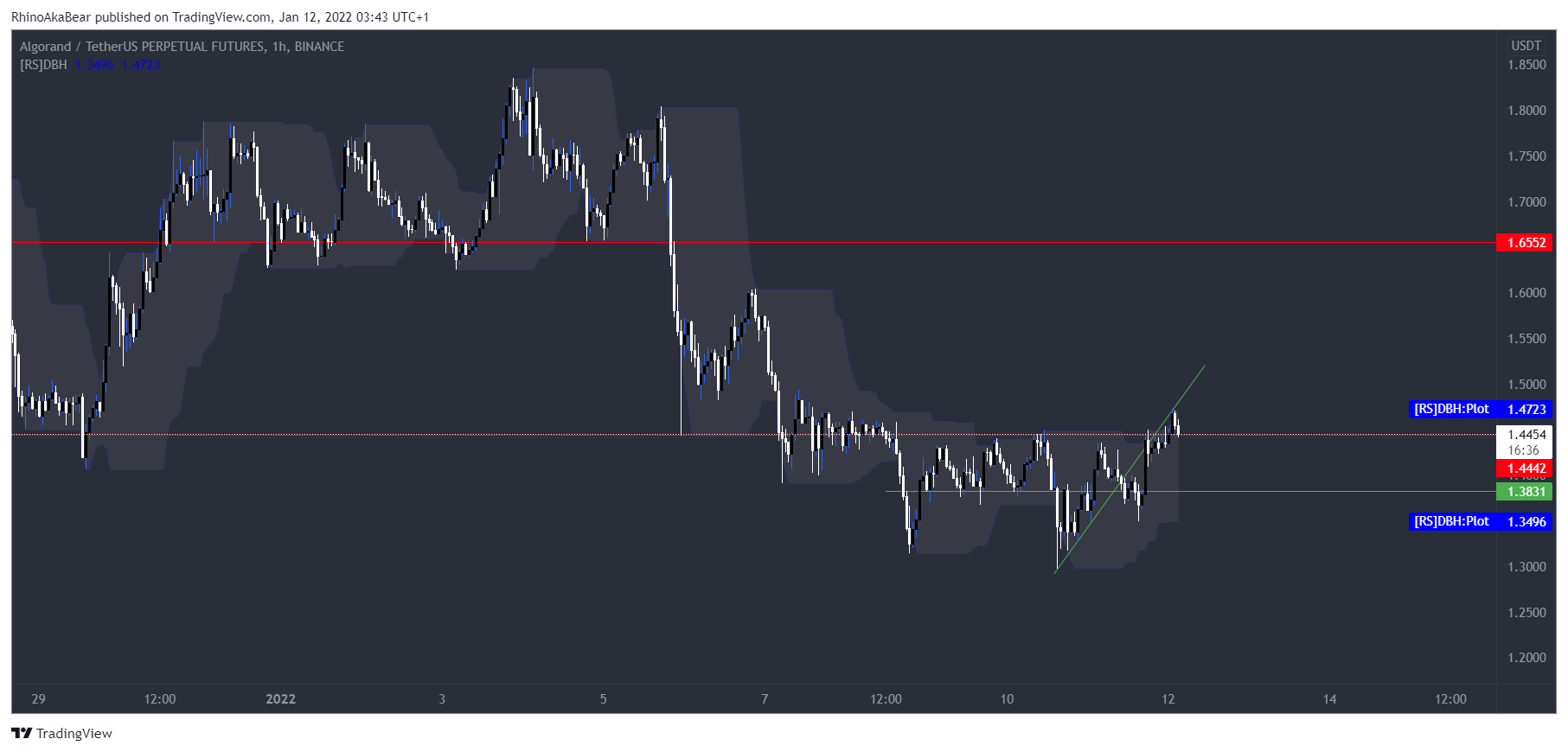 BINANCE:ALGOUSDTPERP Chart Image by RhinoAkaBear