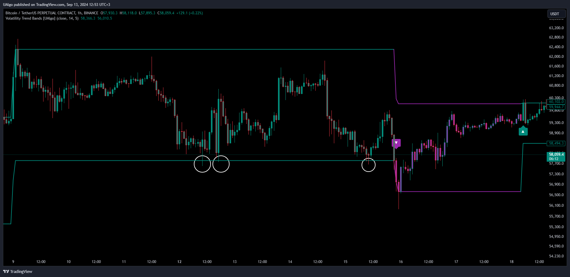 BINANCE:BTCUSDT.P Chart Image by UAlgo
