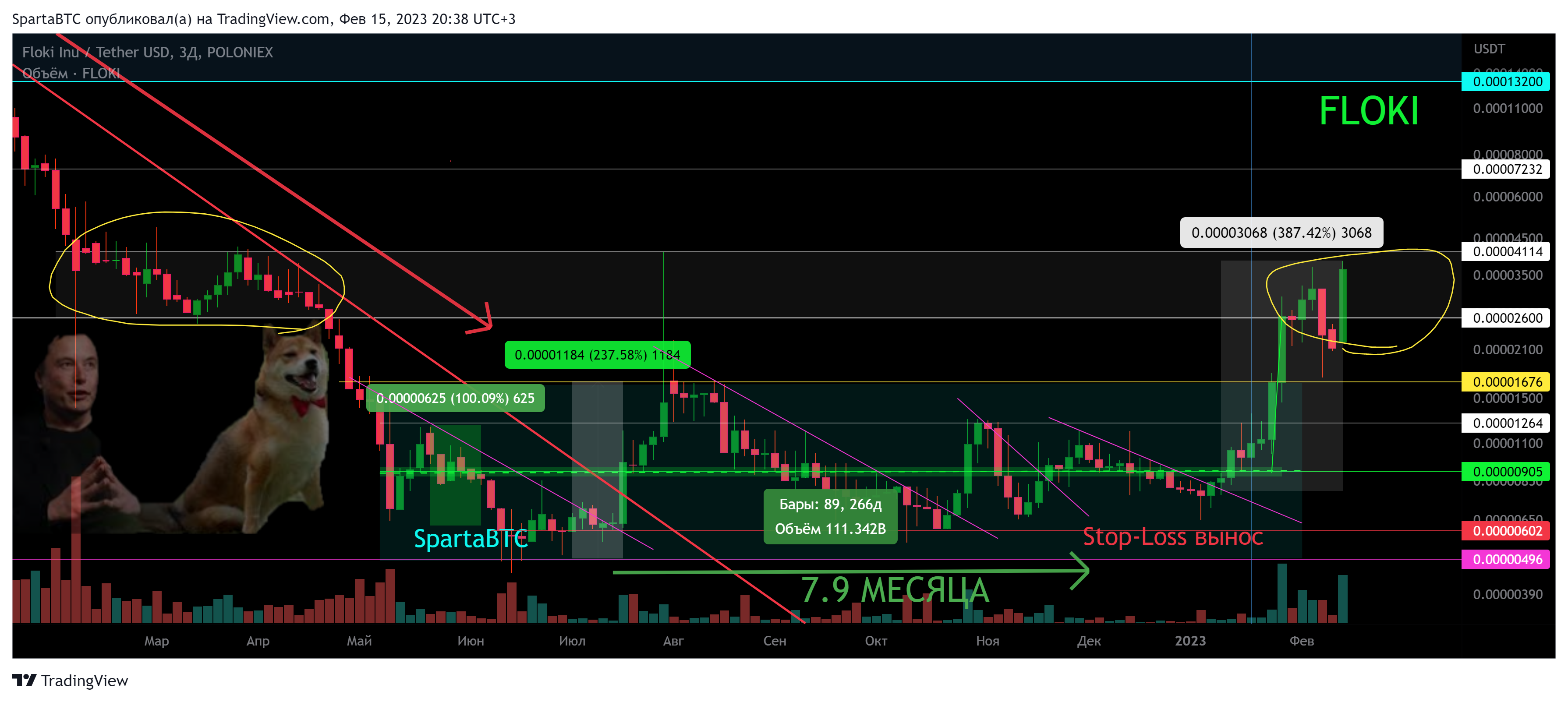 POLONIEX:FLOKIUSDT Chart Image by SpartaBTC