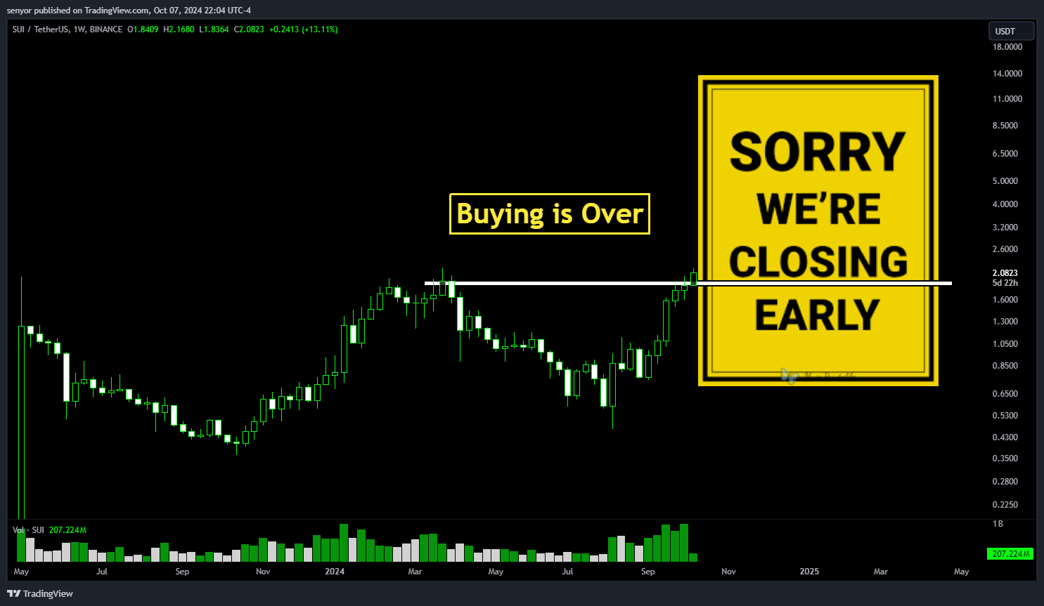 BINANCE:SUIUSDT Chart Image by senyor