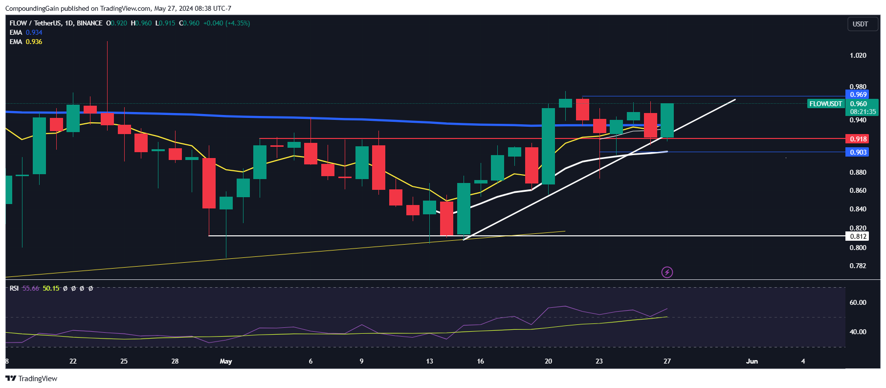BINANCE:FLOWUSDT Chart Image by CompoundingGain