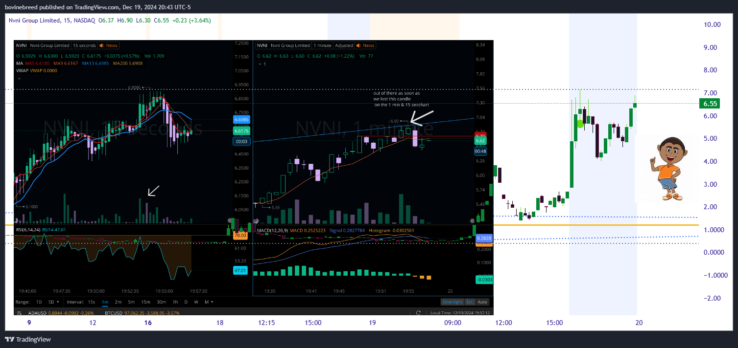 BATS:NVNI Chart Image by bovinebreed