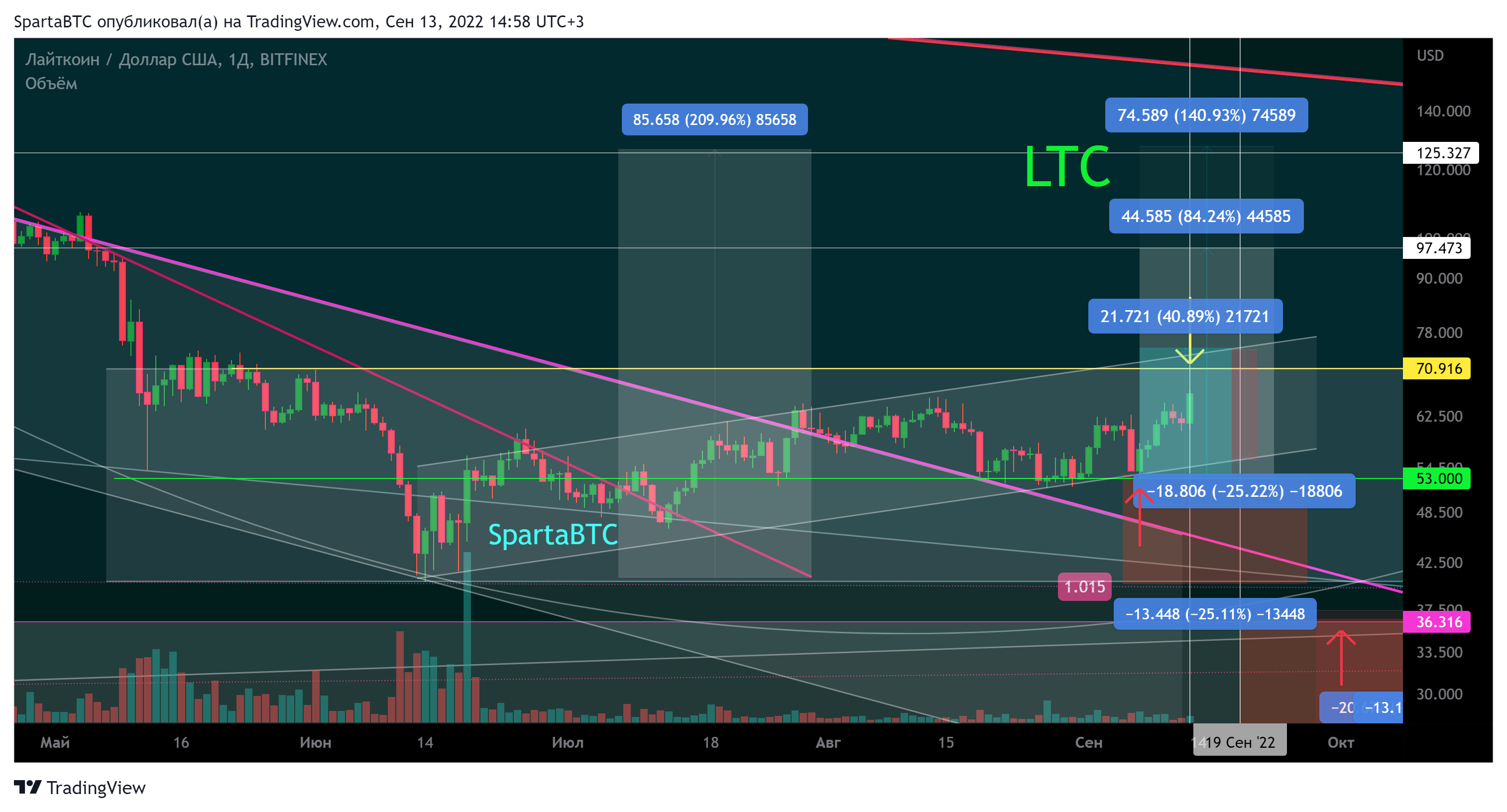BITFINEX:LTCUSD Chart Image by SpartaBTC