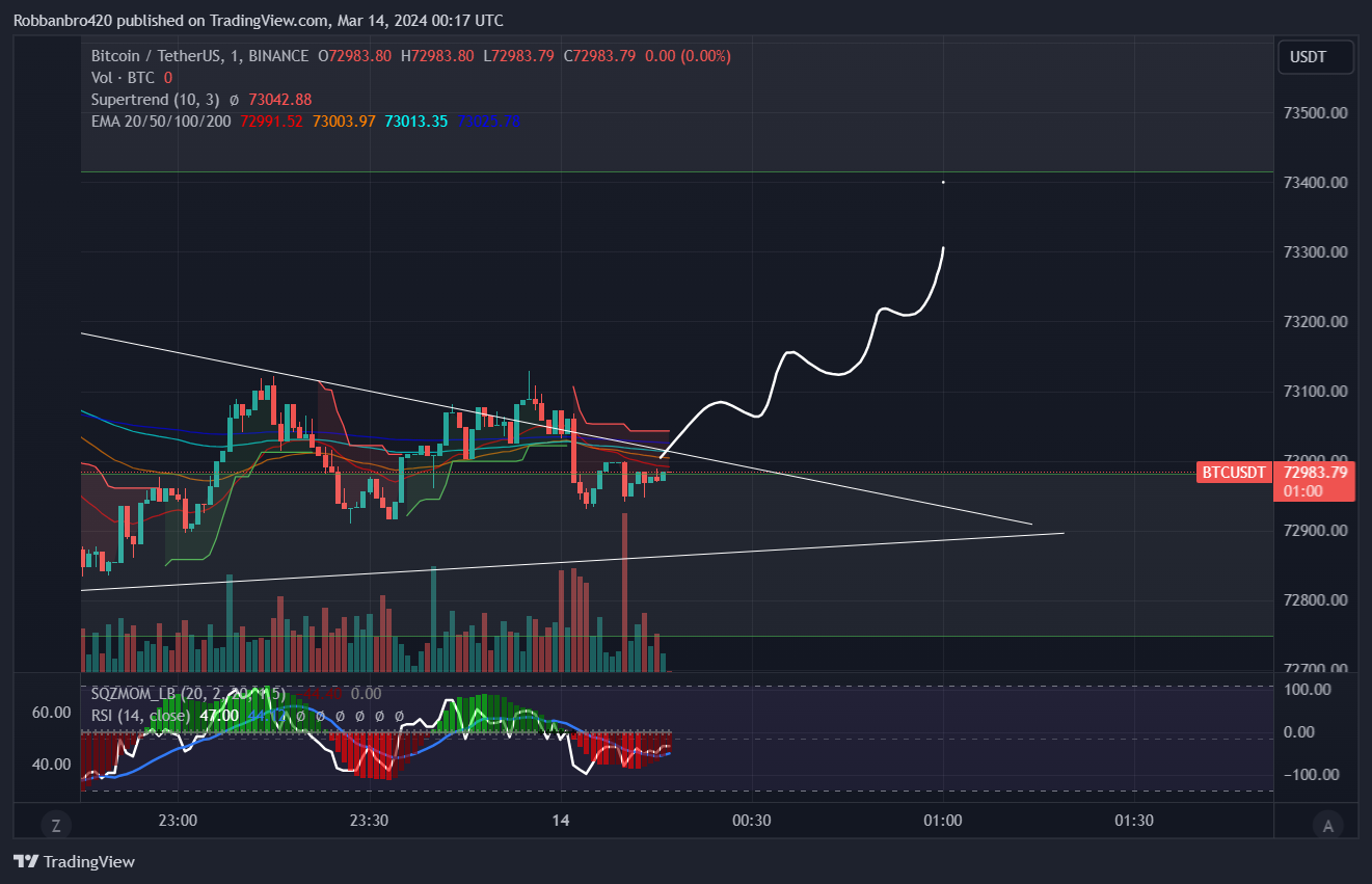 BINANCE:BTCUSDT Chart Image by Robbanbro420