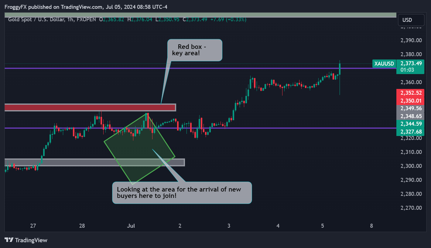 FXOPEN:XAUUSD Chart Image by FroggyFX