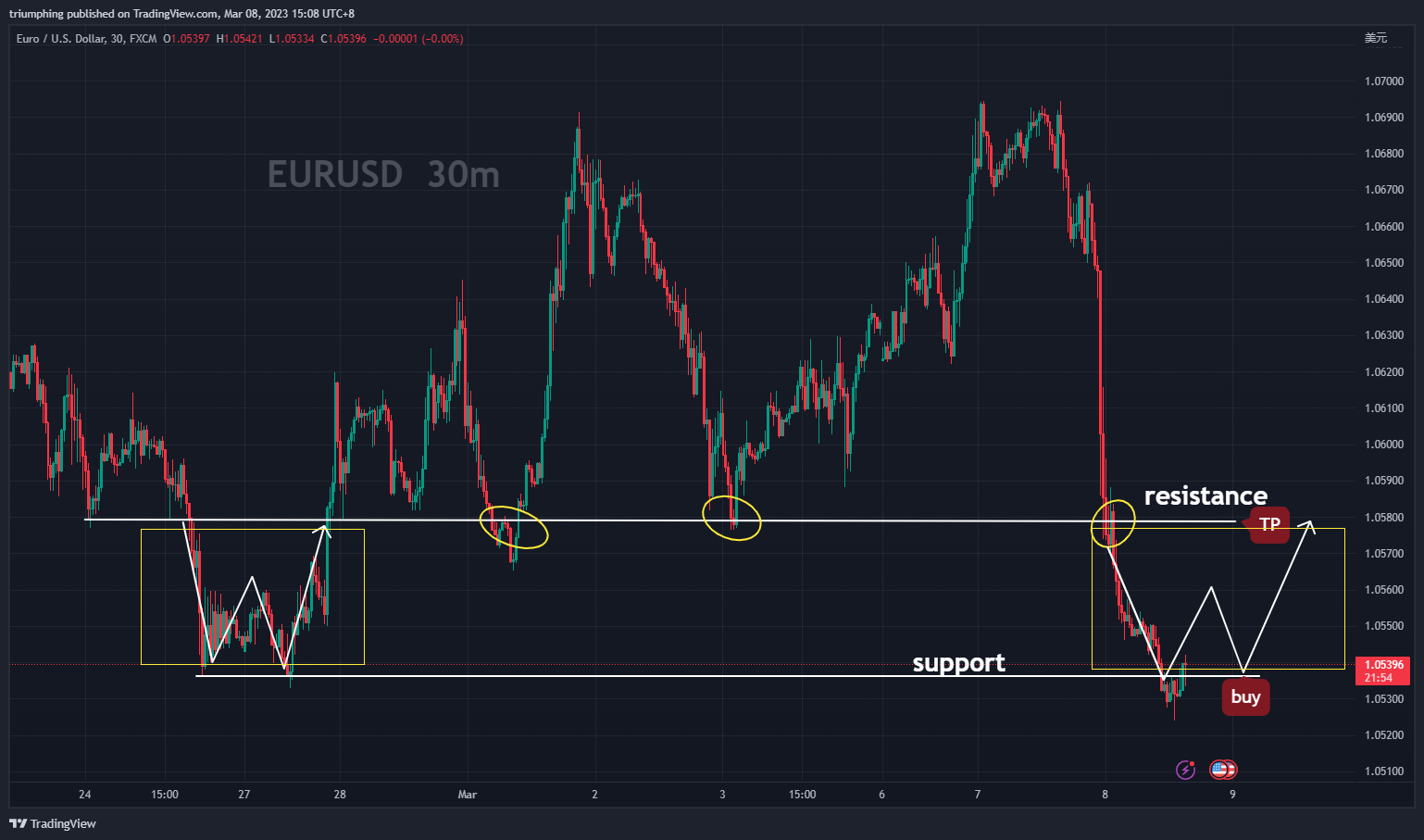 FX:EURUSD Chart Image by triumphing