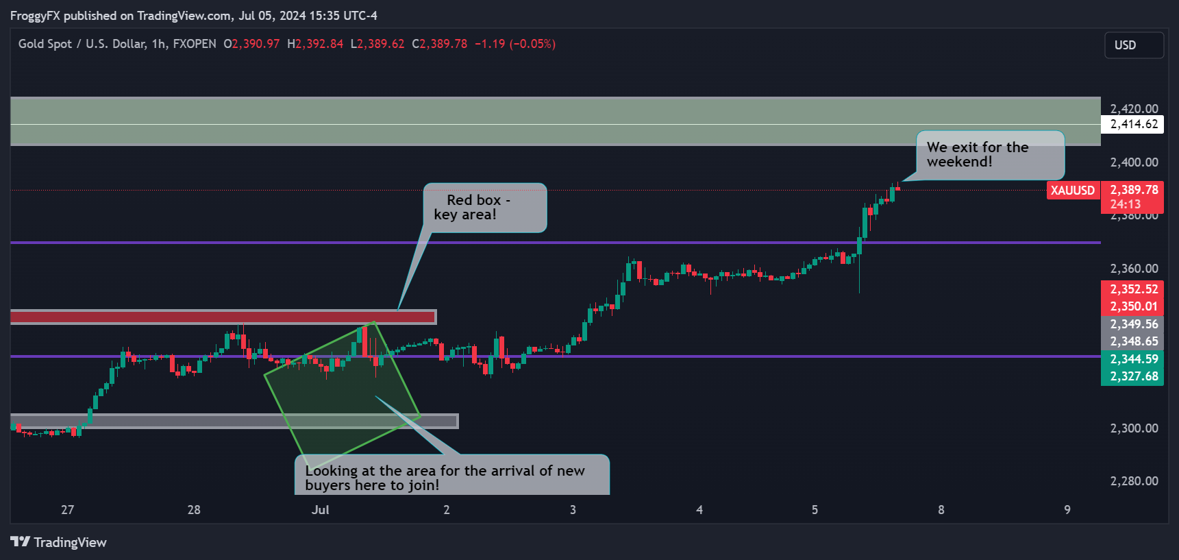 FXOPEN:XAUUSD Chart Image by FroggyFX