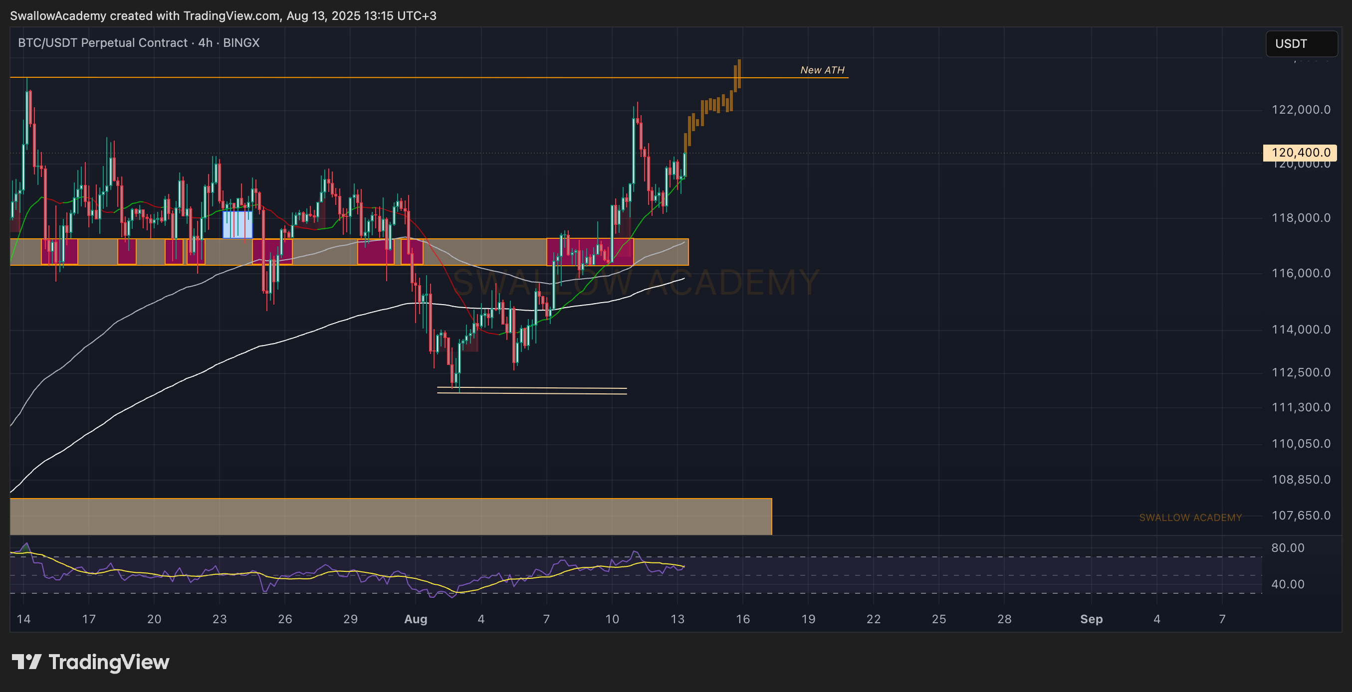 BINGX:BTCUSDT.P Chart Image by SwallowAcademy