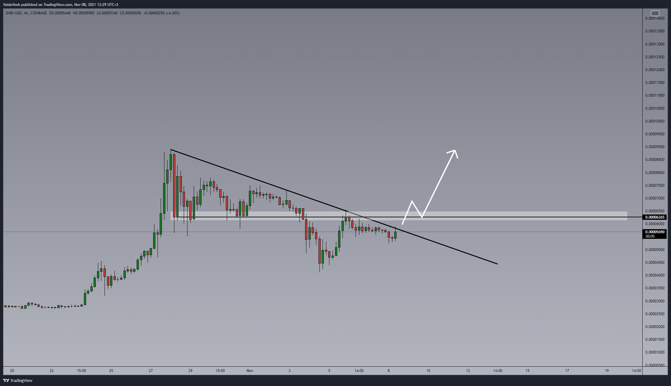 COINBASE:SHIBUSD Chart Image by VaidoVeek