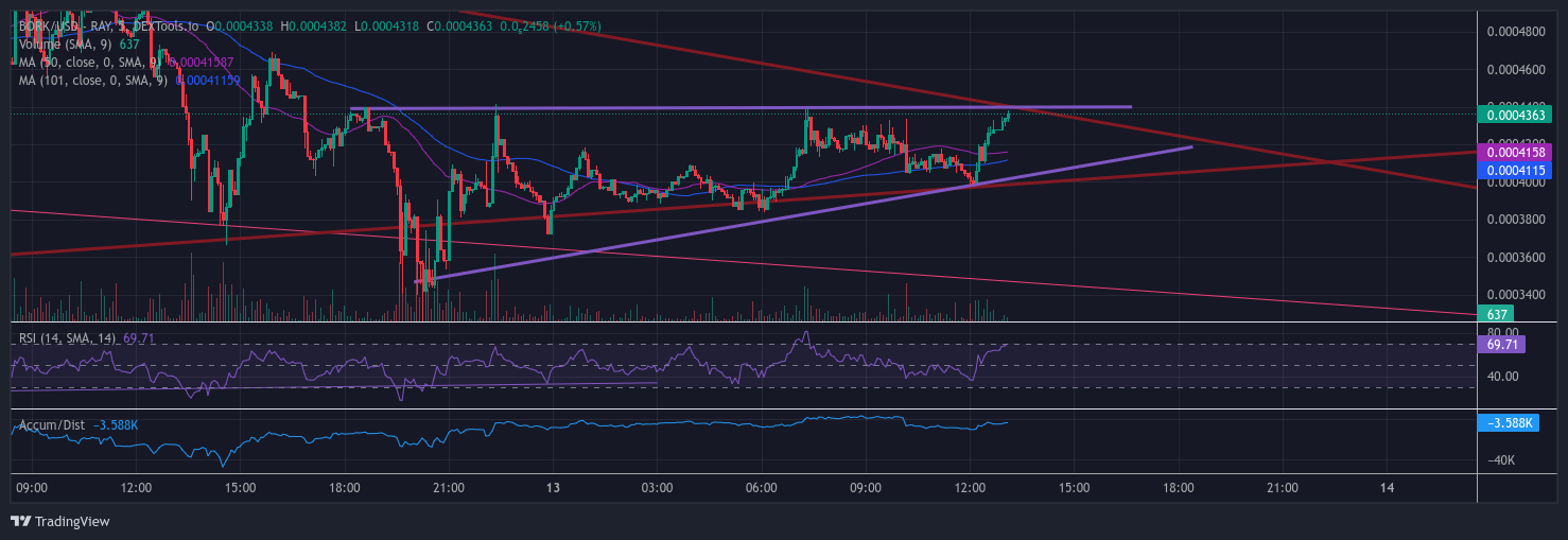 BORK/USD - RAY - DEXTOOLS.IO Chart Image