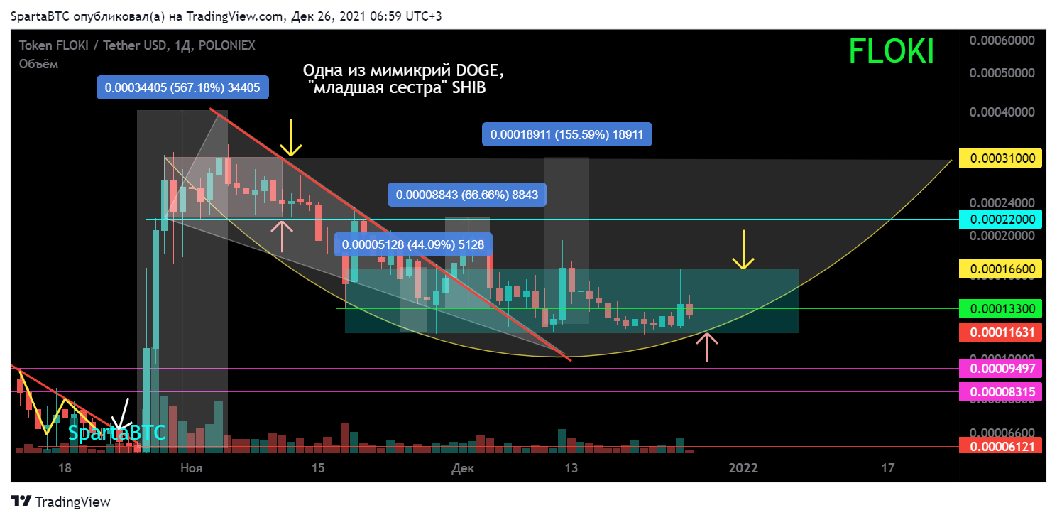 POLONIEX:FLOKIUSDT Chart Image by SpartaBTC