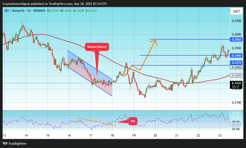 BINANCE:SEIUSDT Chart Image by CryptoAnalystSignal