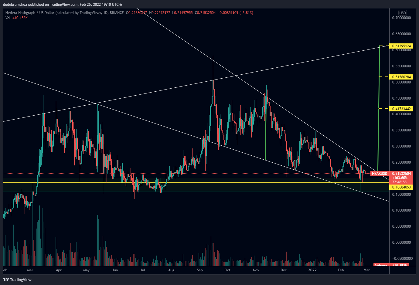 BINANCE:HBARUSD Chart Image by dudebruhwhoa