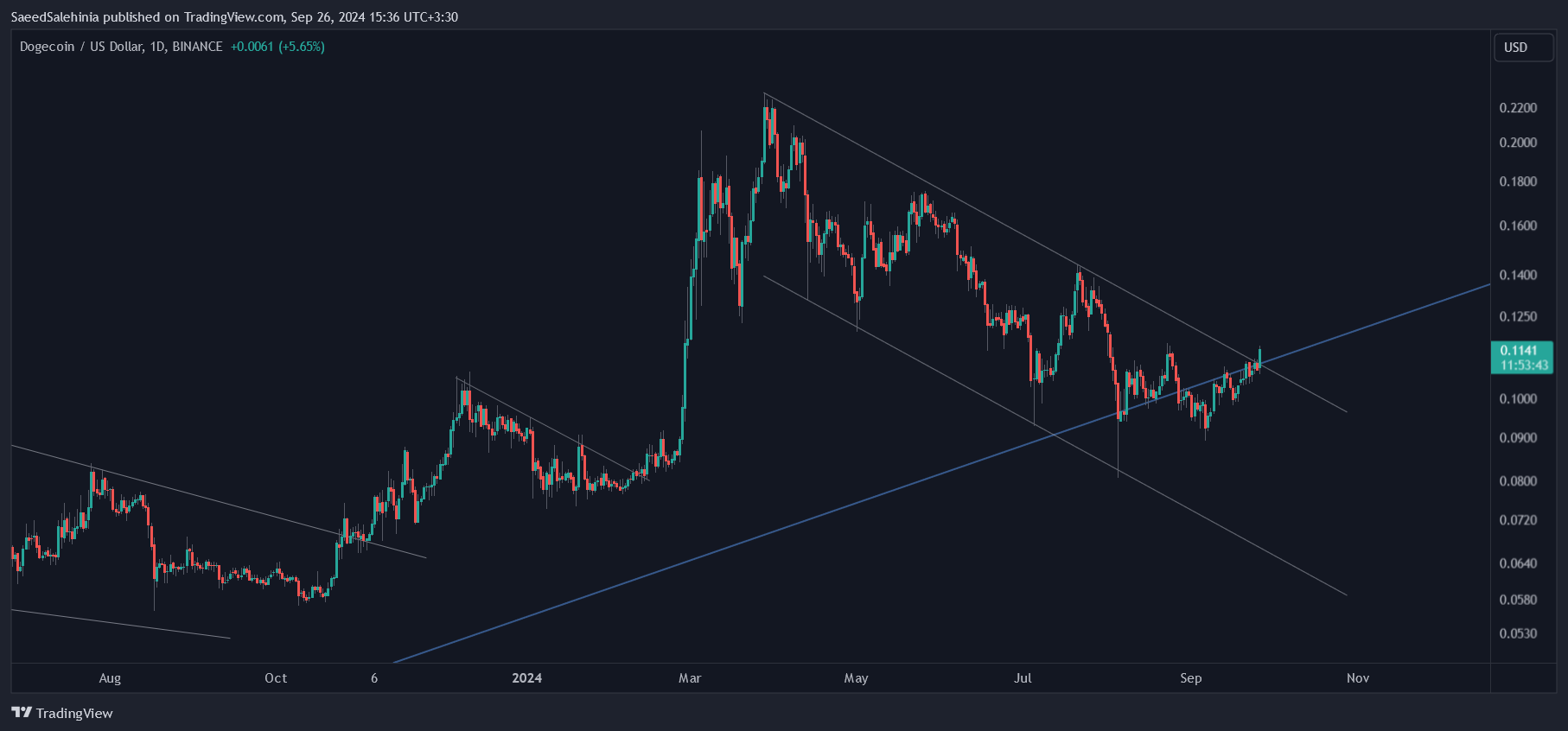 BINANCE:DOGEUSD Chart Image by SaeedSalehinia
