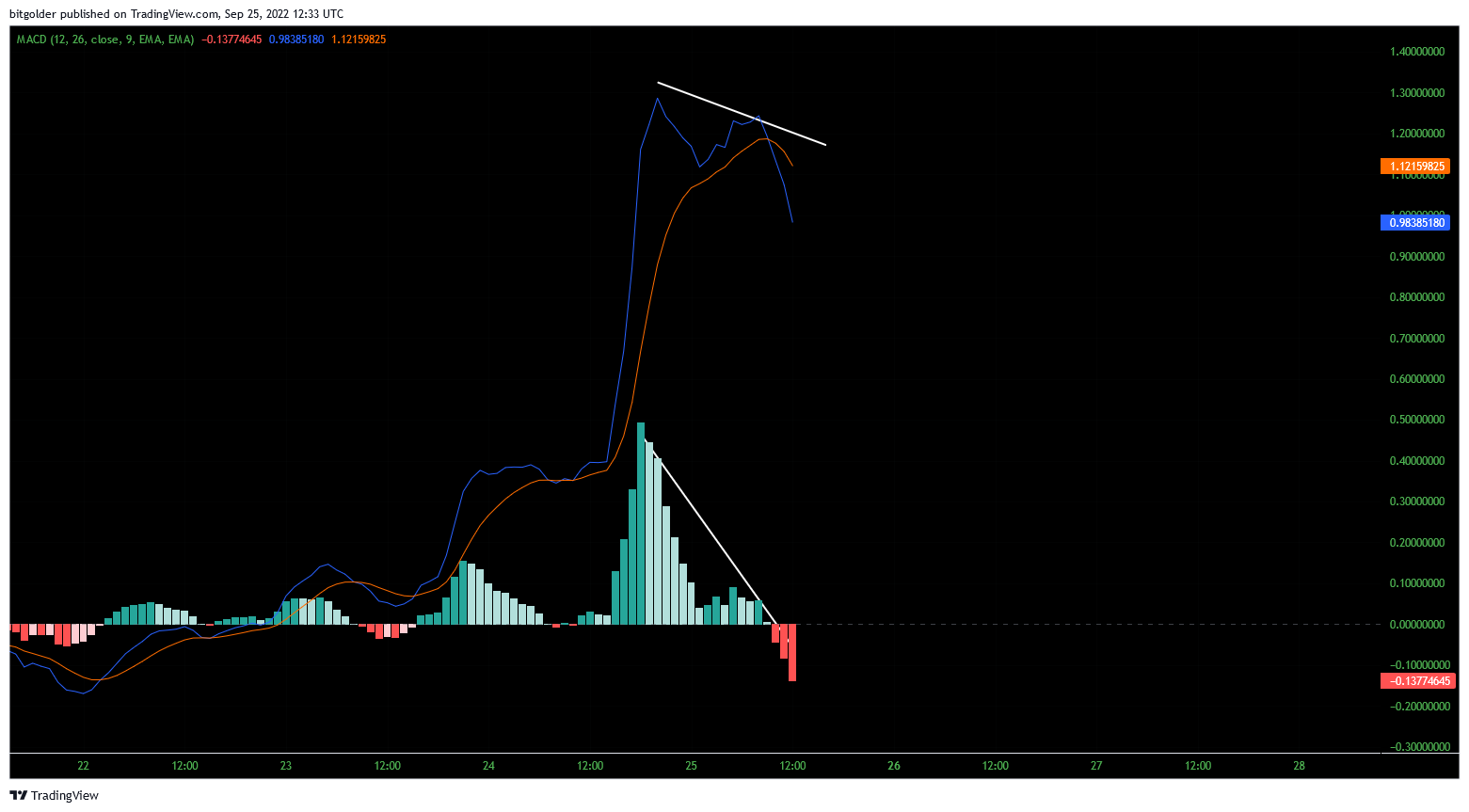 BITFINEX:ETHWUSD Chart Image by Bitgolder