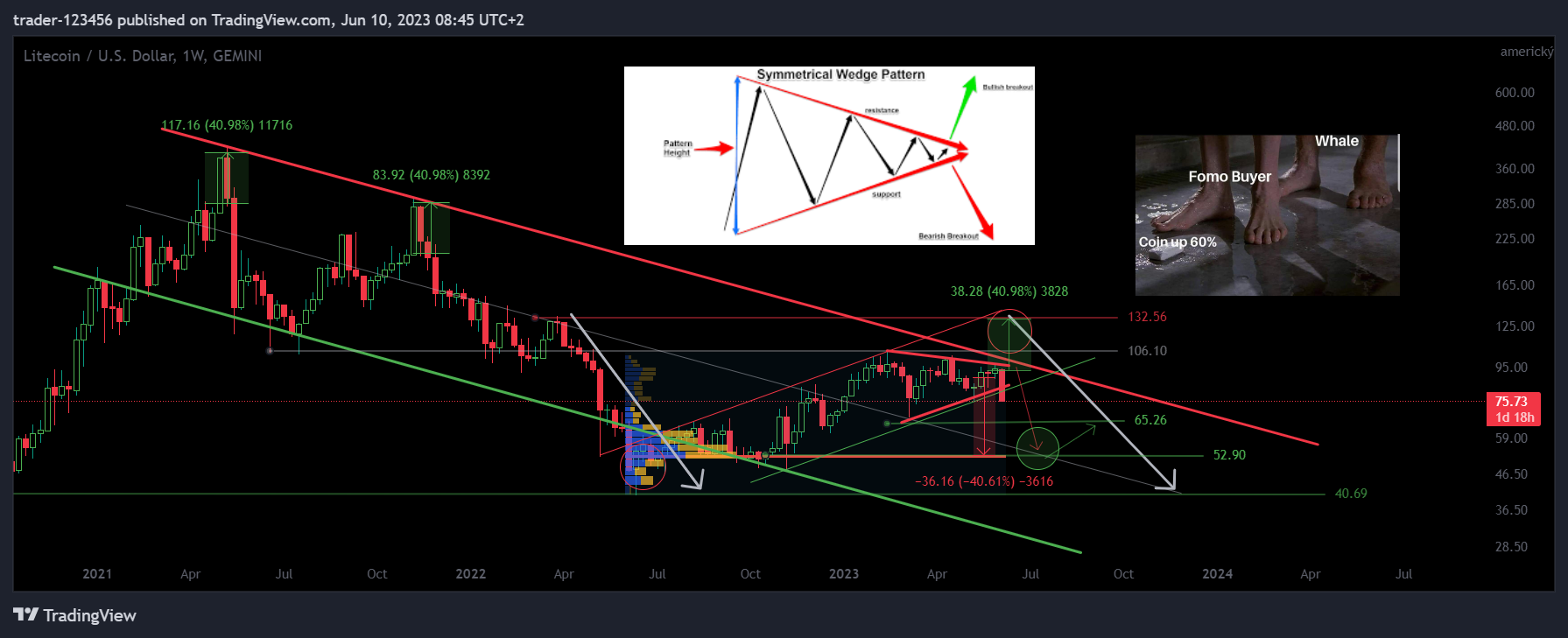 GEMINI:LTCUSD Chart Image by trader-123456