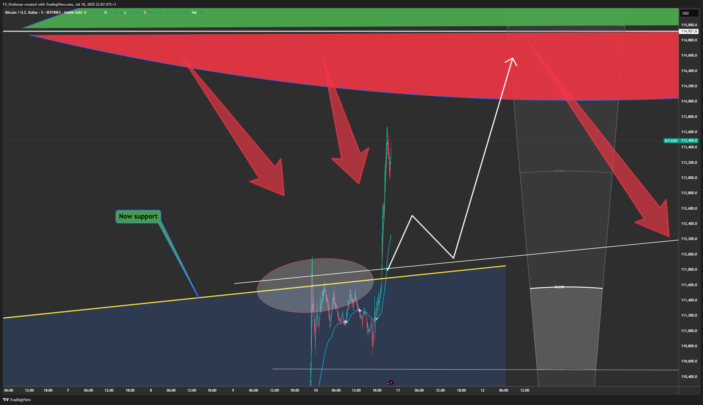 BITFINEX:BTCUSD Chart Image by FX_Professor