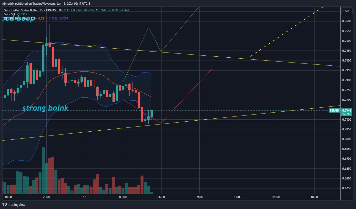 COINBASE:SEIUSD Chart Image by ninjethix