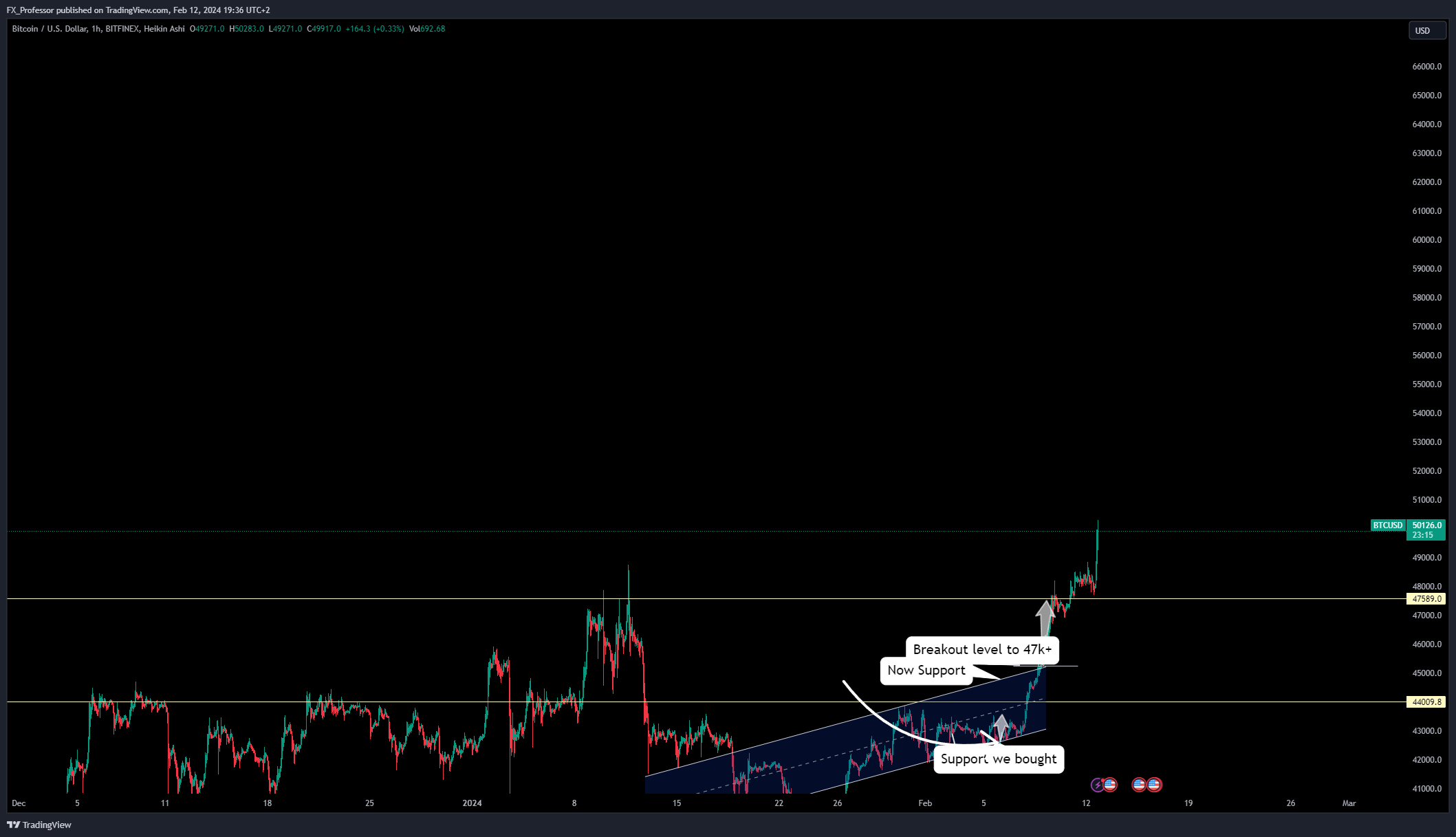 BITFINEX:BTCUSD Chart Image by FX_Professor