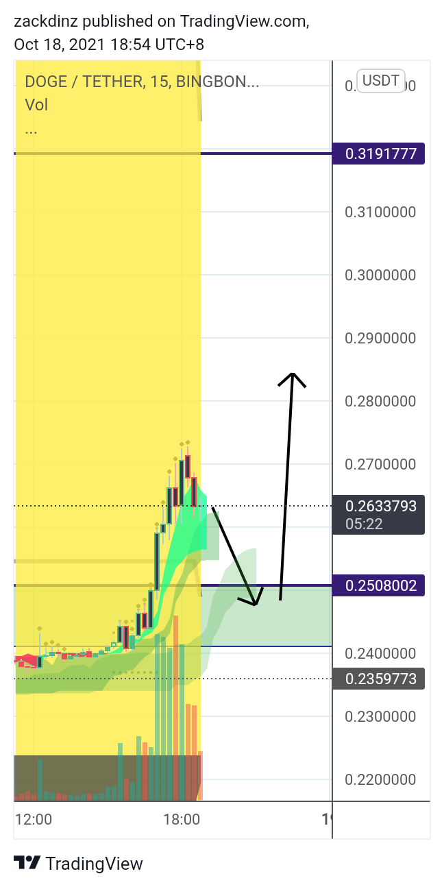 BINGBON:DOGEUSDT Chart Image by zackdinz