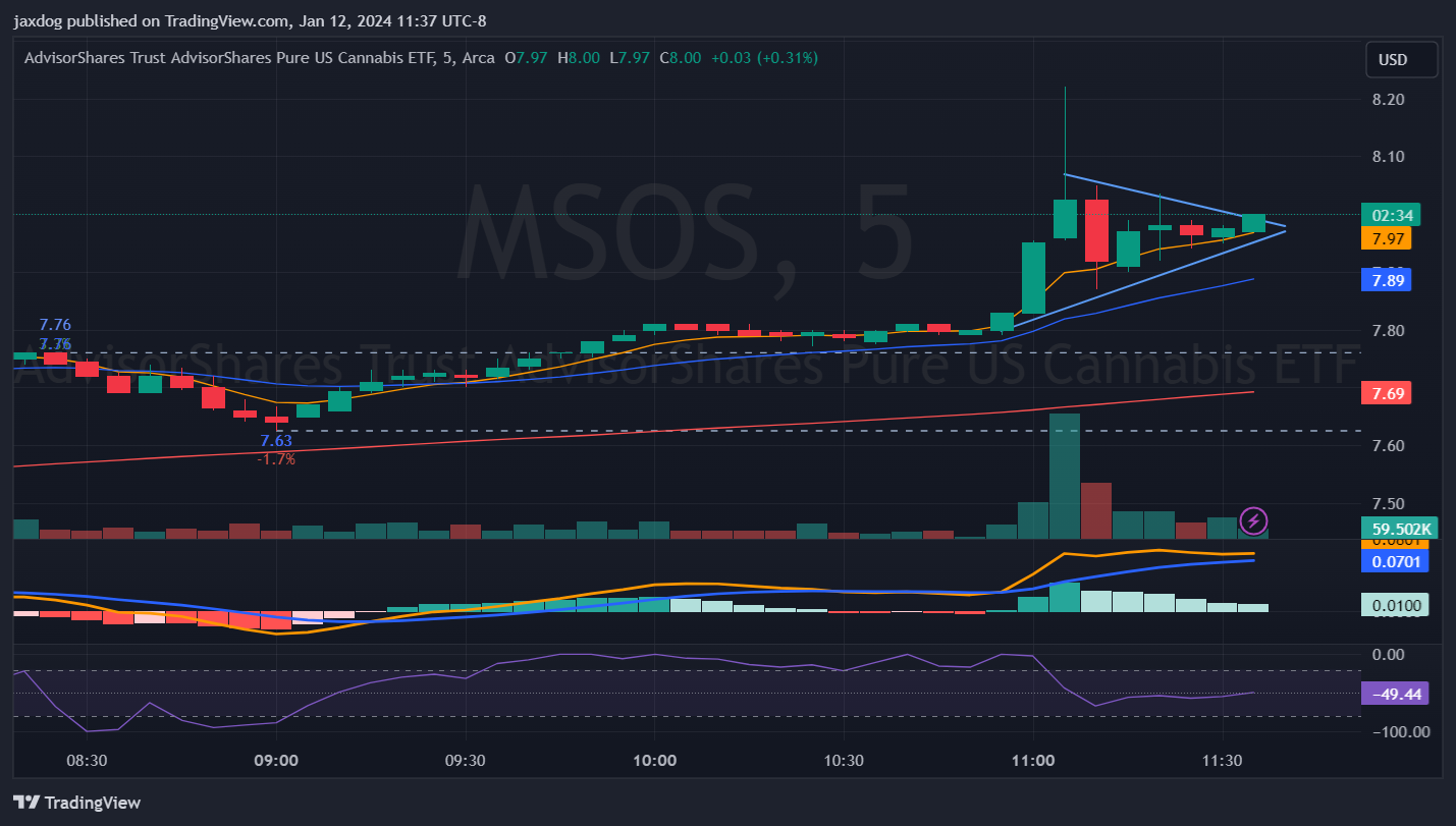 AMEX:MSOS Chart Image by jaxdog