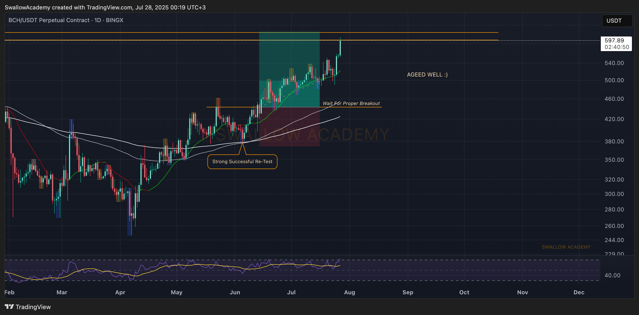 BINGX:BCHUSDT.P Chart Image by SwallowAcademy