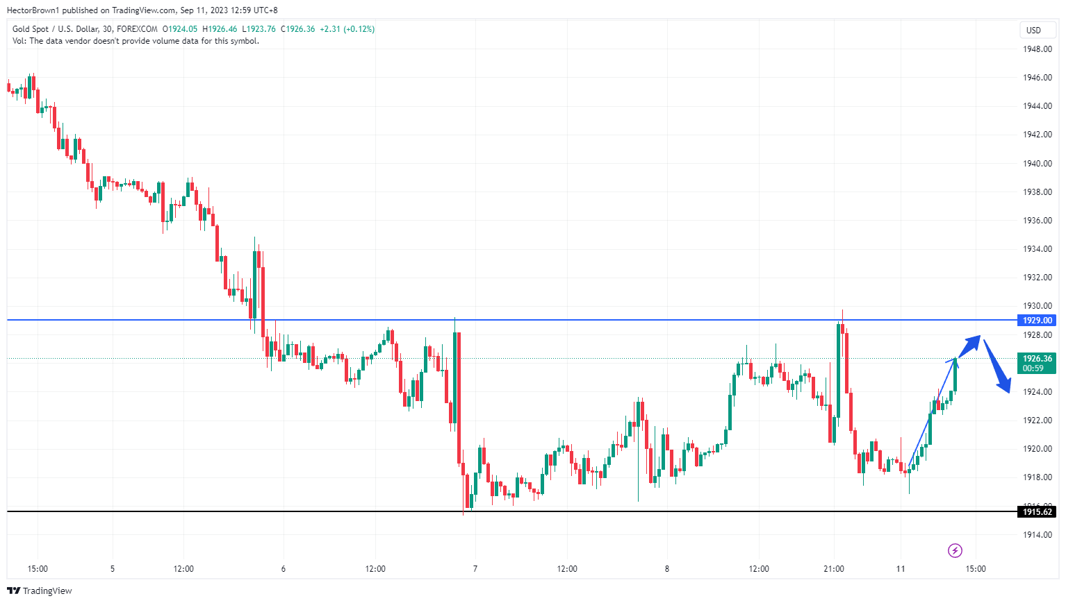 FOREXCOM:XAUUSD Chart Image by HectorBrown1