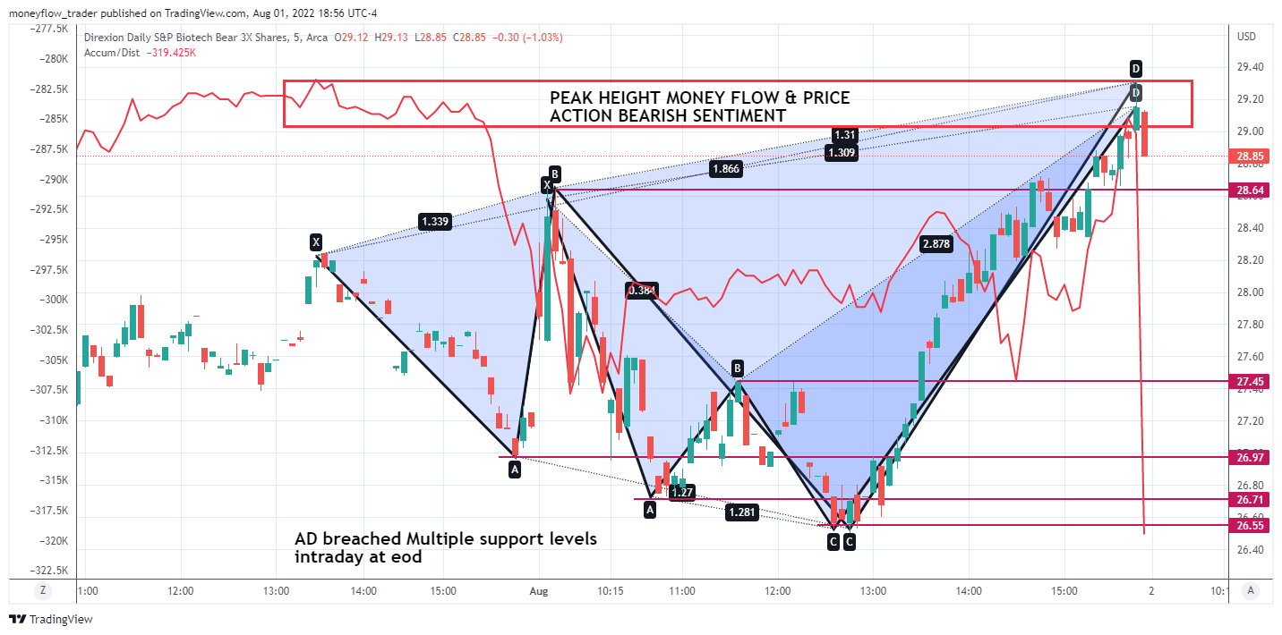AMEX:LABD Chart Image by moneyflow_trader