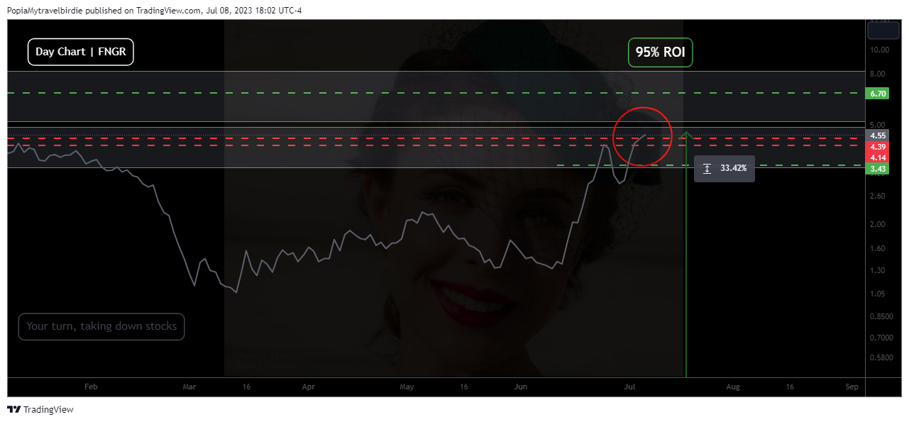NASDAQ:FNGR Chart Image by PopiaMytravelbirdie