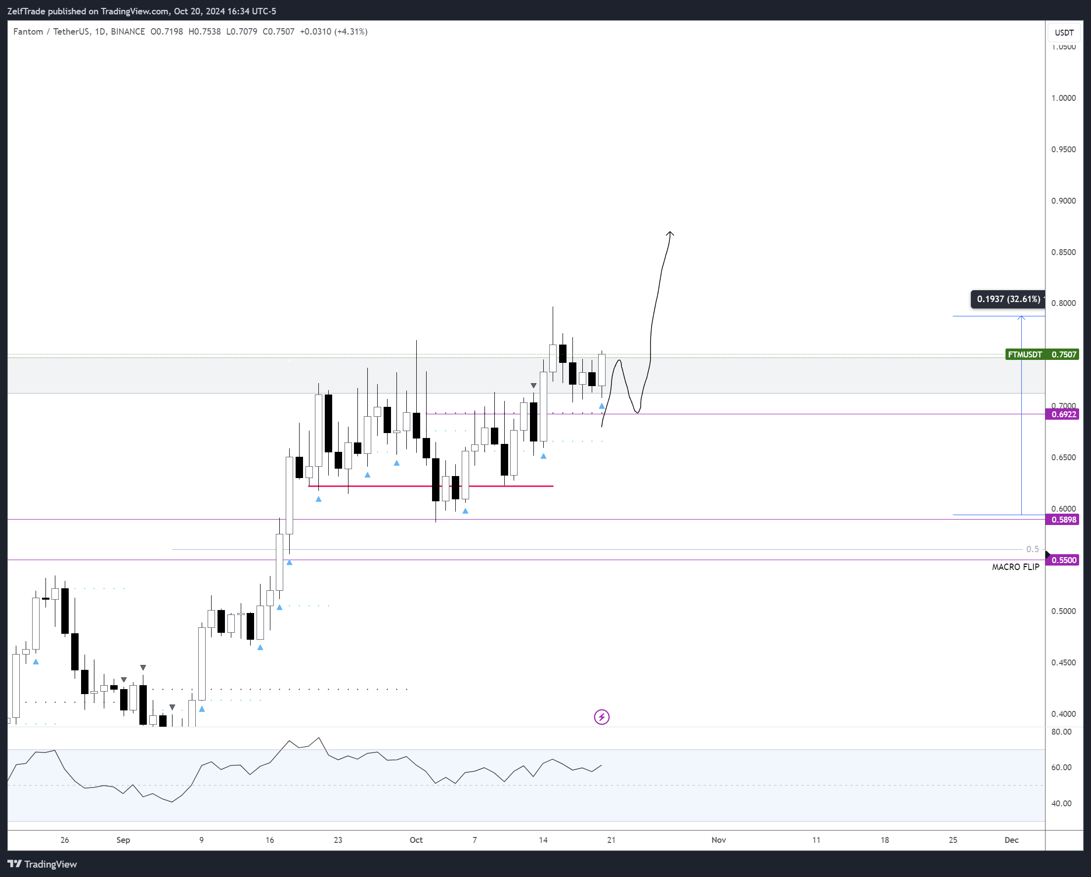 BINANCE:FTMUSDT Chart Image by ZelfTrade