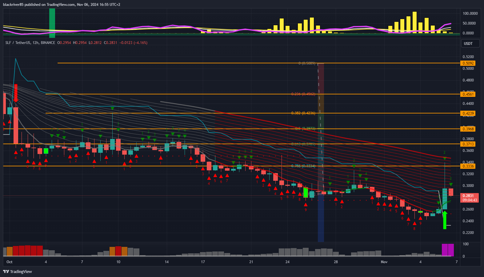 BINANCE:SLFUSDT Chart Image by blackriver85