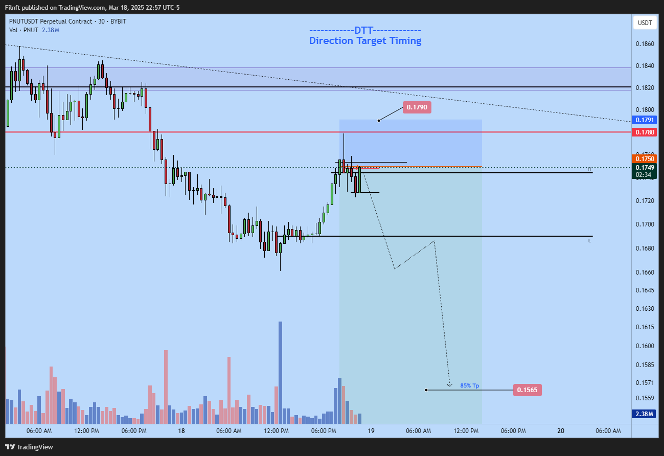 BYBIT:PNUTUSDT.P Chart Image by Filnft
