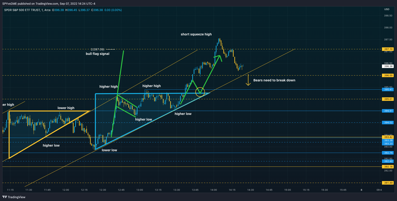 AMEX:SPY Chart Image by SPYvsGME