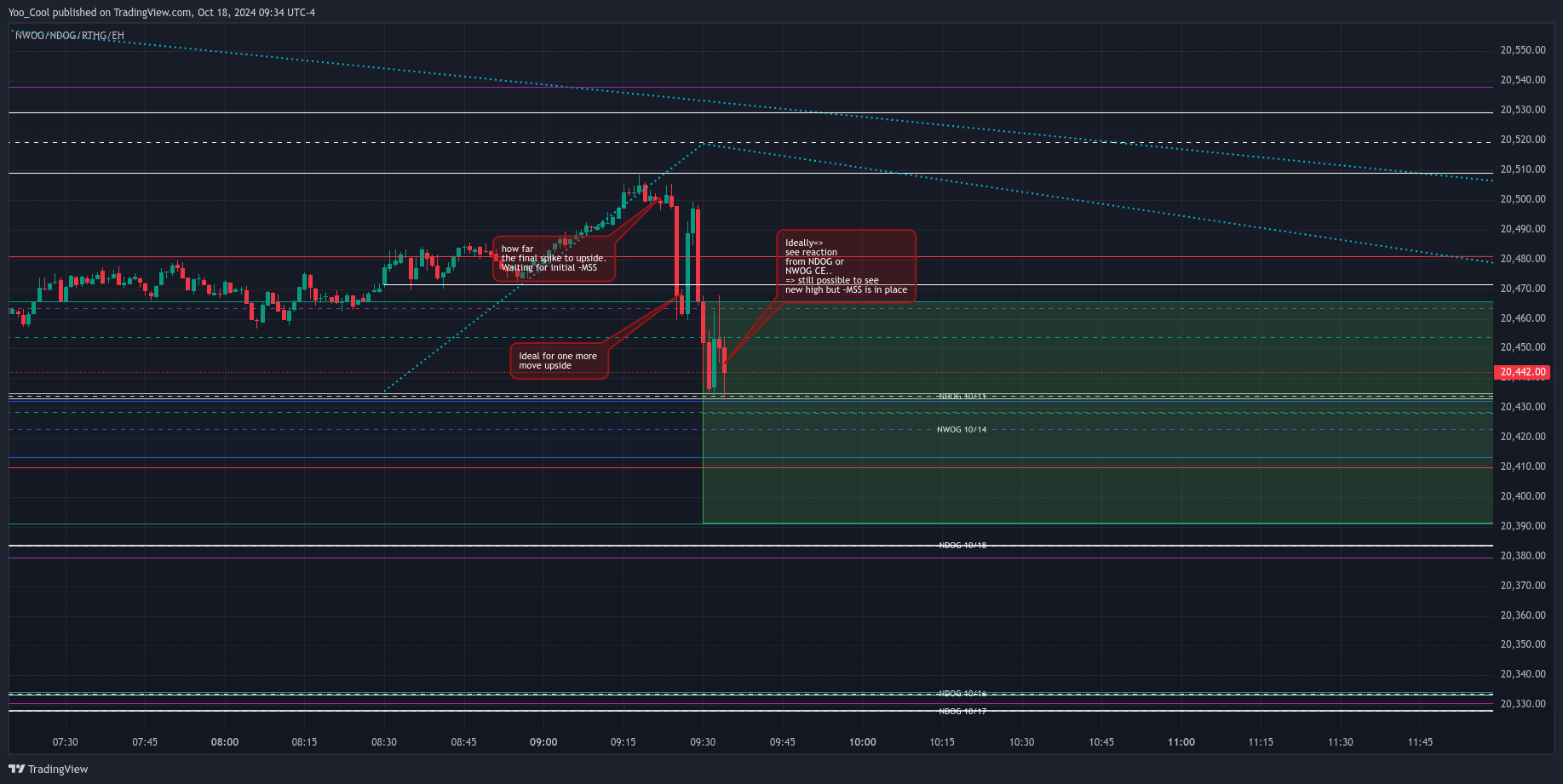 CME_MINI:NQZ2024 Chart Image by Yoo_Cool